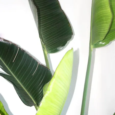 Baleal Ocean Breeze * Ferrel (Leiria)