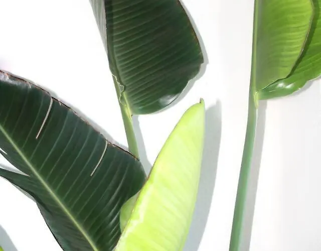 Baleal Ocean Breeze *